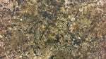 Colesium Granite